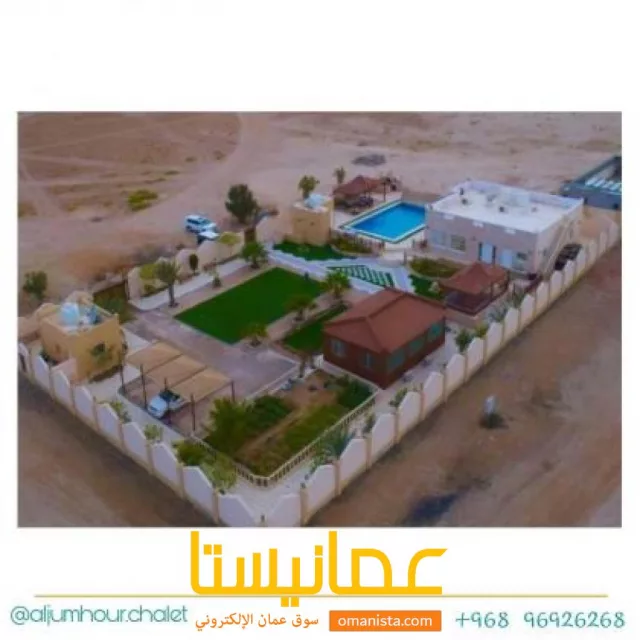 صورة 3