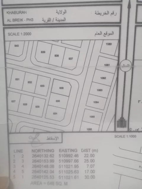 صورة 3