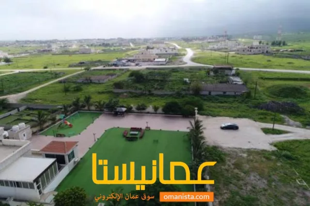 صورة 2
