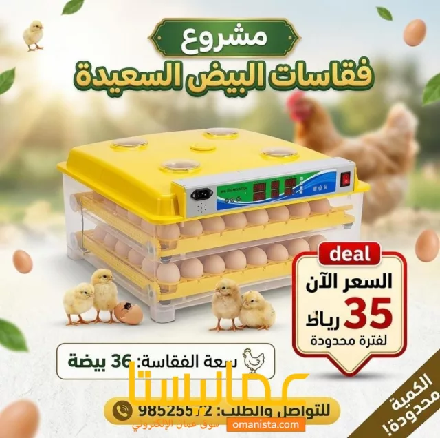صورة 7
