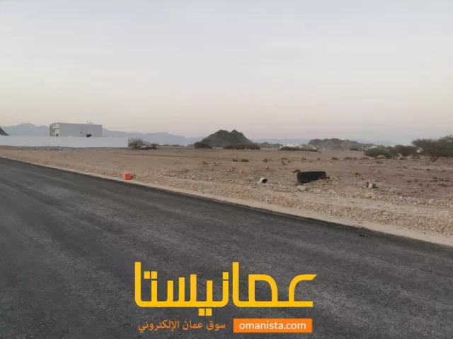 ارضين شبك في الامتداد الاول للبيع