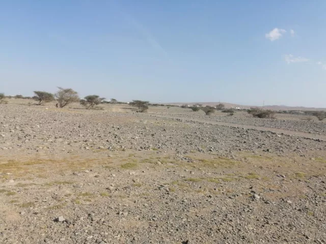 صورة 3