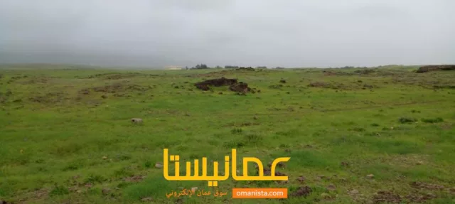 صورة 6