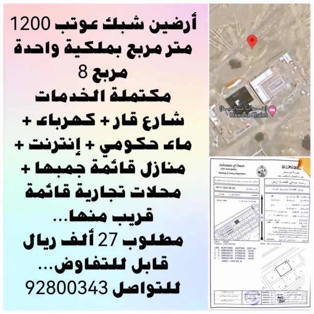 صورة 3