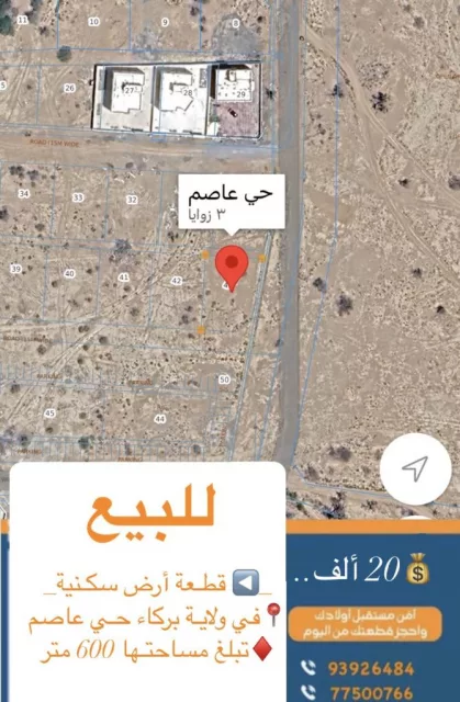 صورة 2
