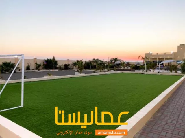 صورة 8