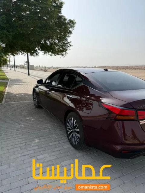 صورة 3