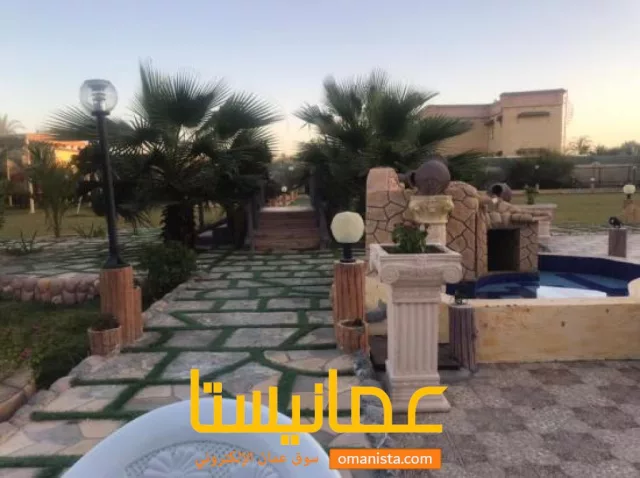صورة 6