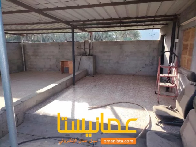 صورة 2
