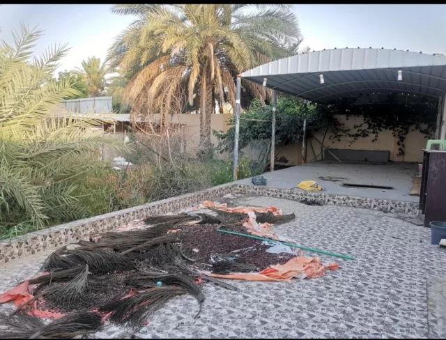 صورة 3