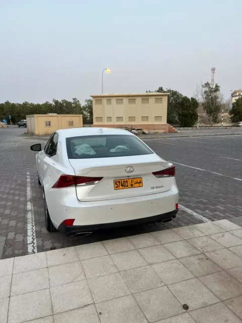 صورة 8