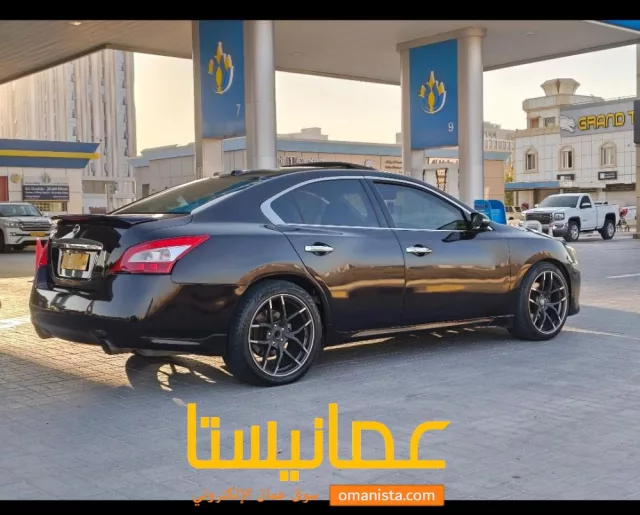 صورة 6