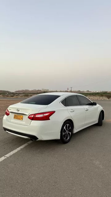 صورة 7