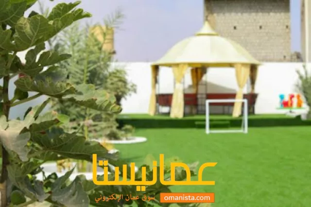 صورة 7