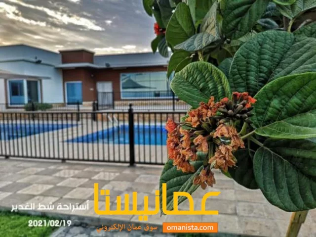 صورة 3