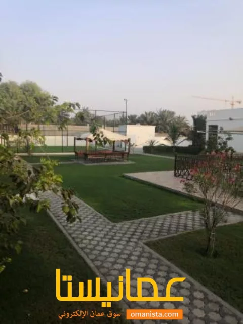 صورة 6