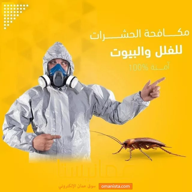 صورة 2