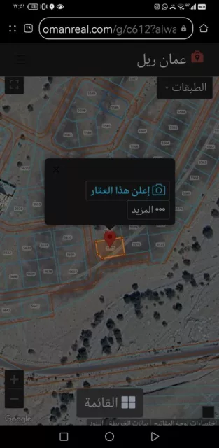 صورة 2