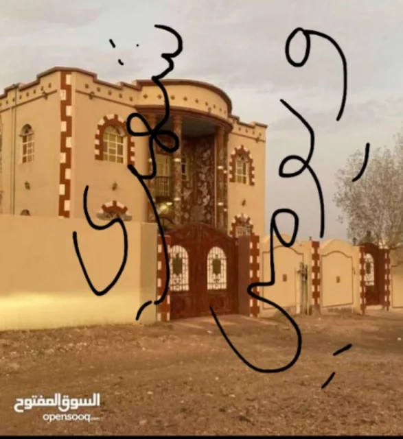 صورة 5