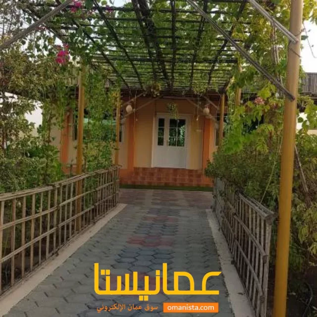 صورة 4
