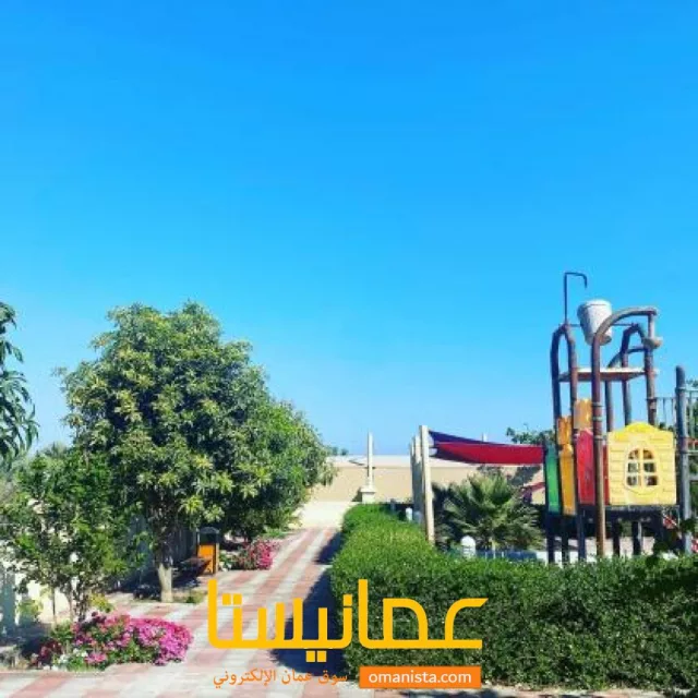 صورة 4