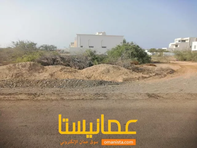 صورة 4