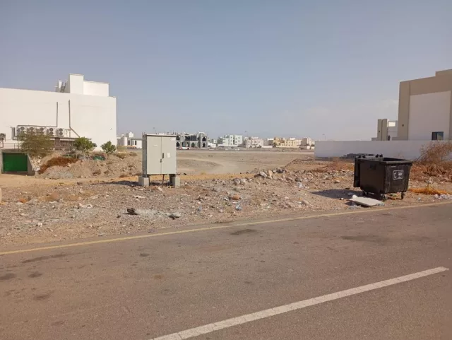 صورة 2