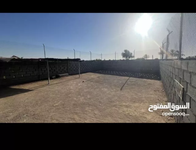 صورة 2