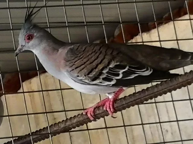 صورة 2