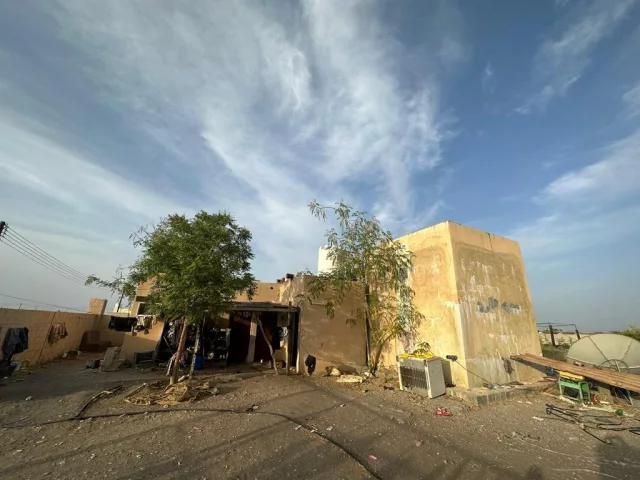 صورة 7