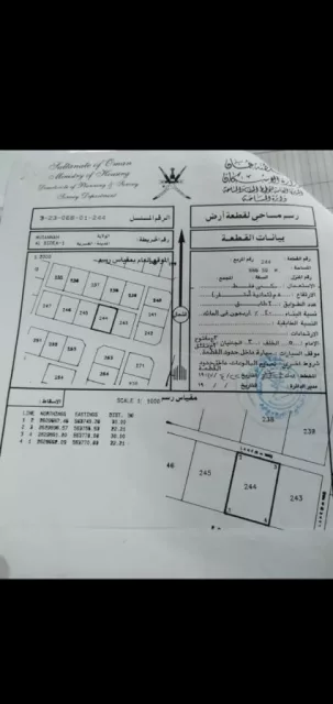صورة 2