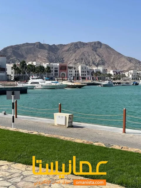 صورة 7