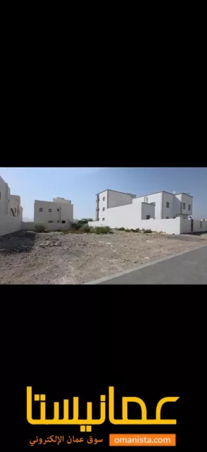 صورة 3