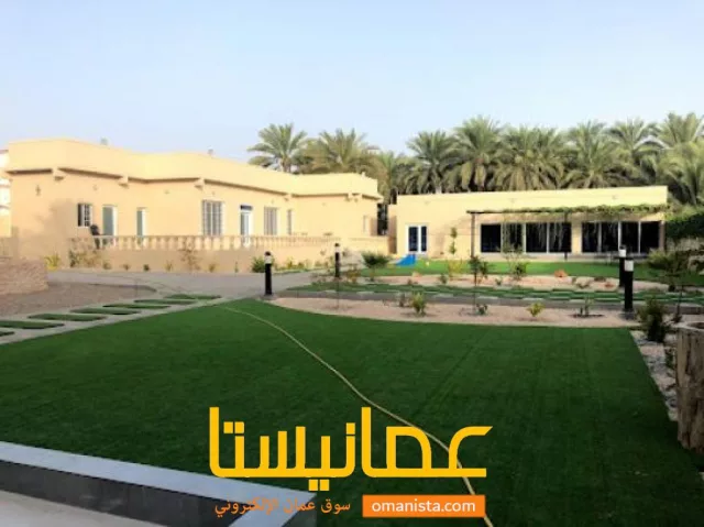 صورة 3