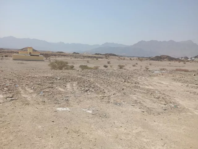 للبيع ارضين شبك سكنية في العلاية العامرات