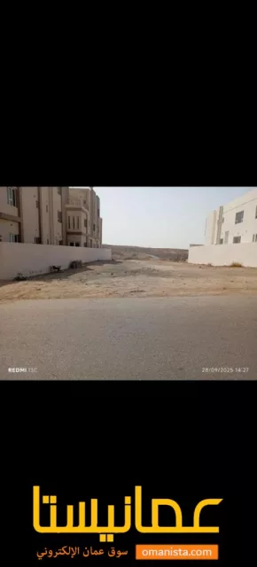 صورة 3