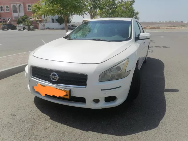 صورة 4