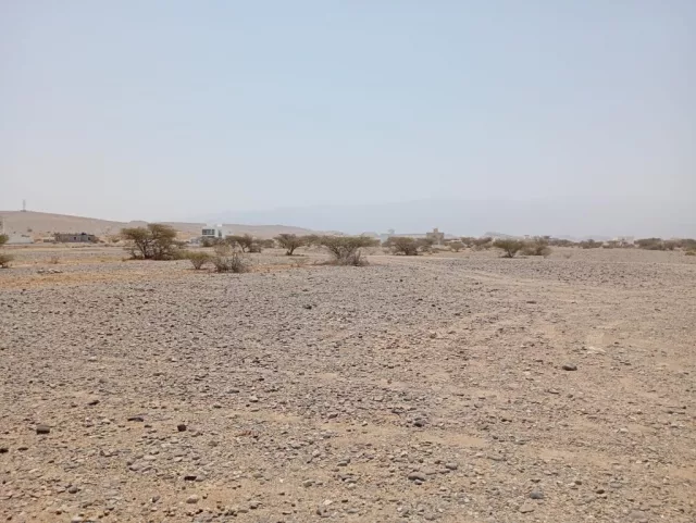 صورة 2