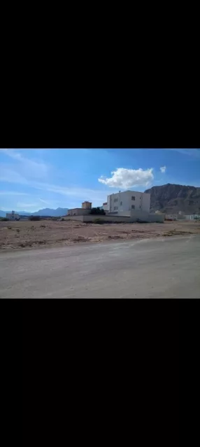 صورة 3