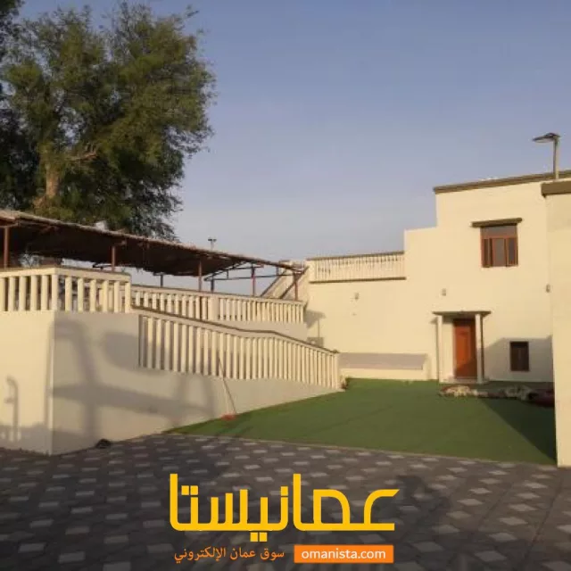 صورة 3