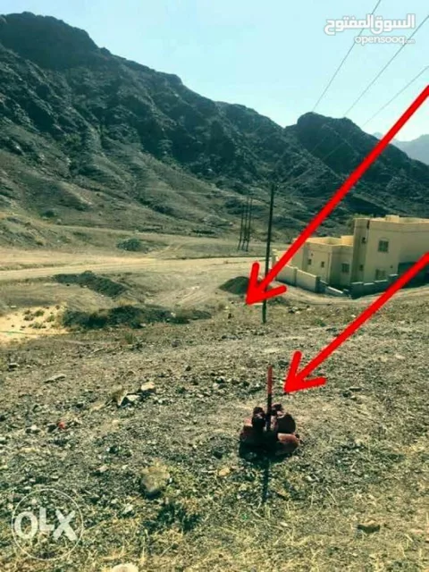 صورة 5