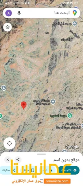 صورة 3