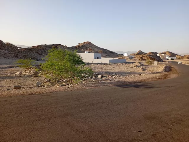 صورة 2