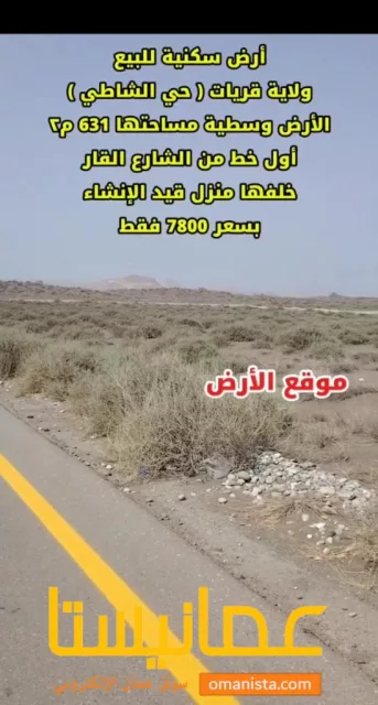 صورة 4