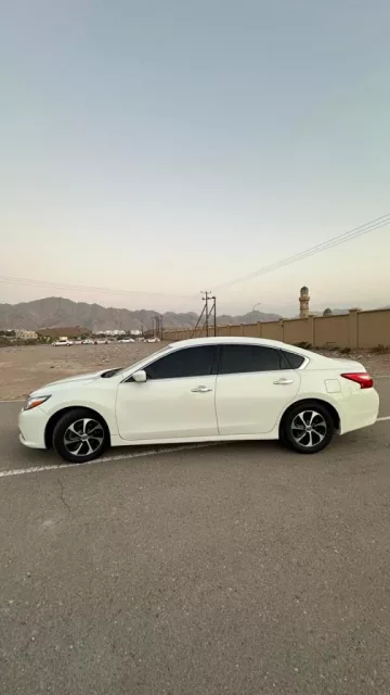 صورة 3