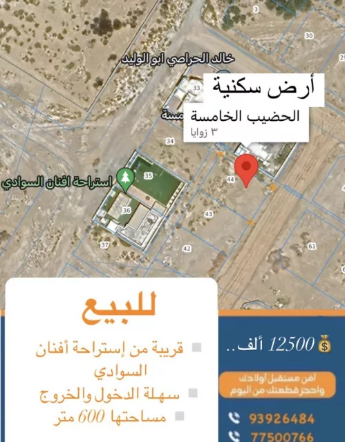 صورة 2