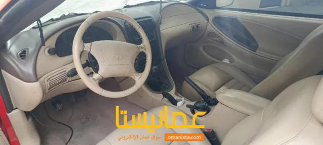 صورة 6