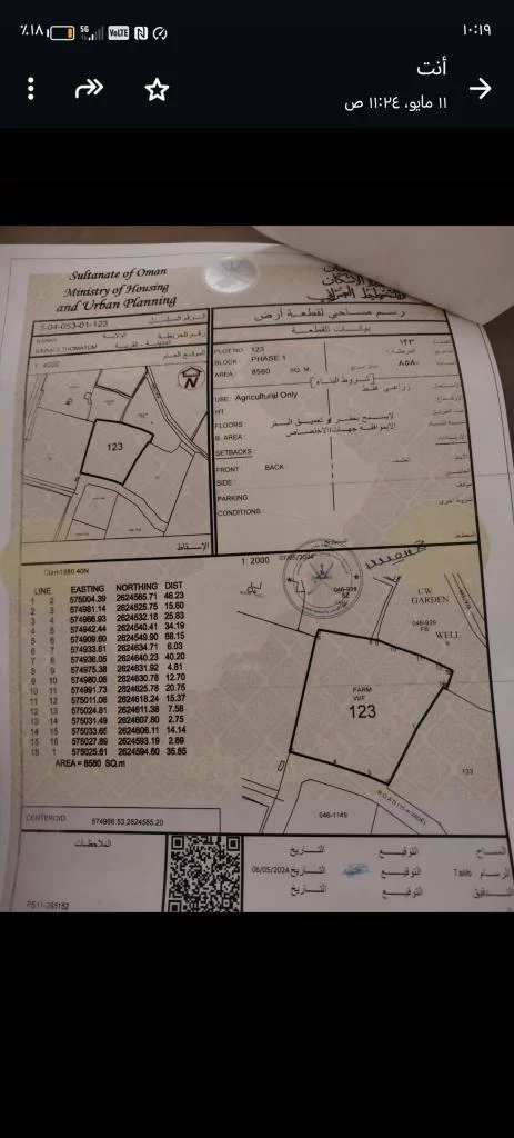 بركاء السوادي طماطم