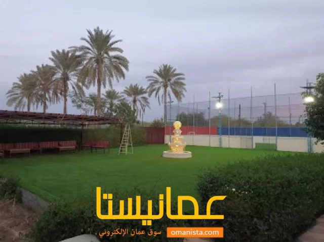 صورة 5