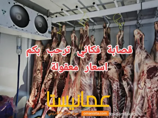 صورة 3